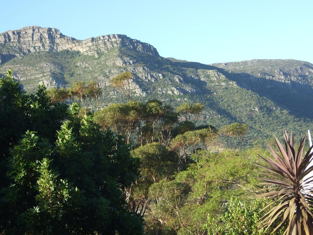 הוילה האוט ביי Meadows Mountain View מראה חיצוני תמונה
